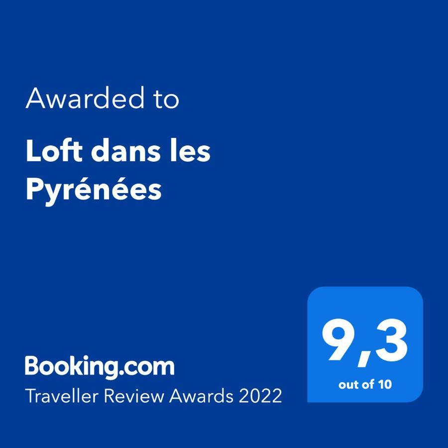 Loft Dans Les Pyrenees Apartment โอโลรง-แซ็ง-มารี ภายนอก รูปภาพ